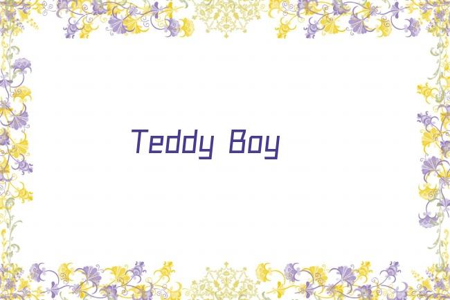 Teddy Boy剧照